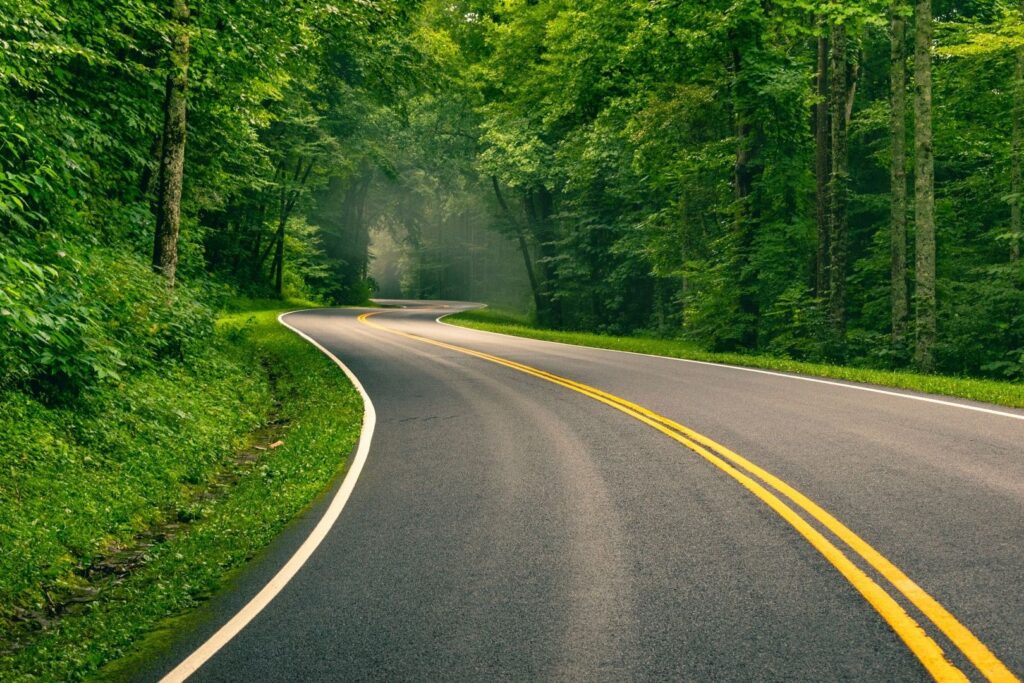road image